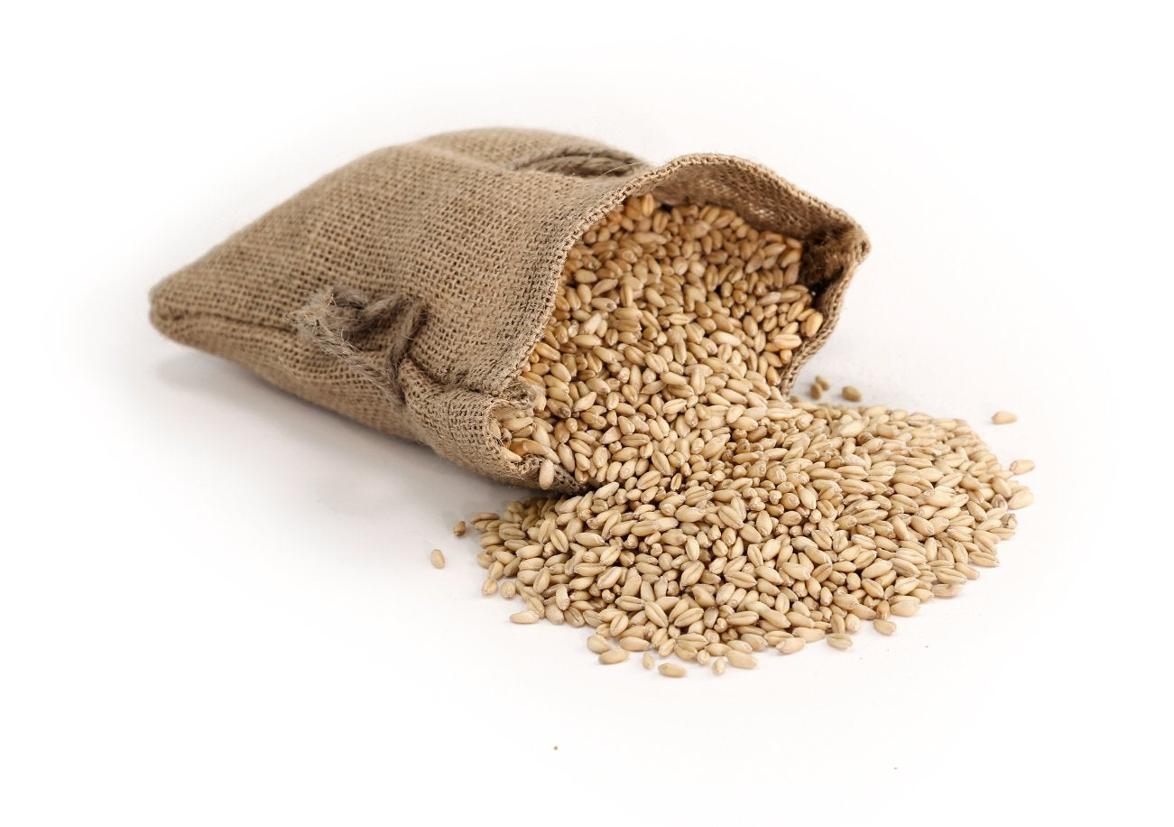 Royal Lee Organics Organic Soft White Wheat Berries (2 lbs)