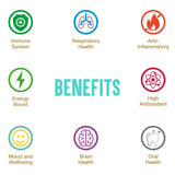 FunctionaliQi Breathability Green Tea Blend with Peppermint for Health Immunity - Eucalyptus Health Congestion and Immunity Ginger Elderflower