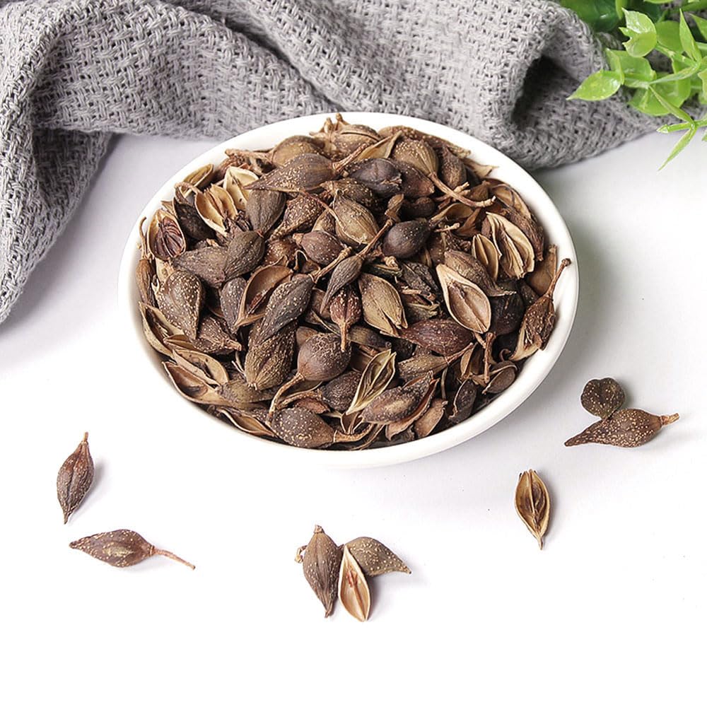 Plant Gift Forsythia Tea ?? 100% Therapeutic Grade Forsythia Dried Fruit Herb Medicine (Forsythia Suspensa) 60G/2.11oz