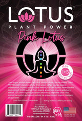 Lotus Energy Drink Concentrate 64 fl oz (Pink) Pack of 2
