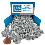 Silver Foil Milk Chocolate Candy Pieces Bulk Bag - 1 lb (Approx. 100 pieces)