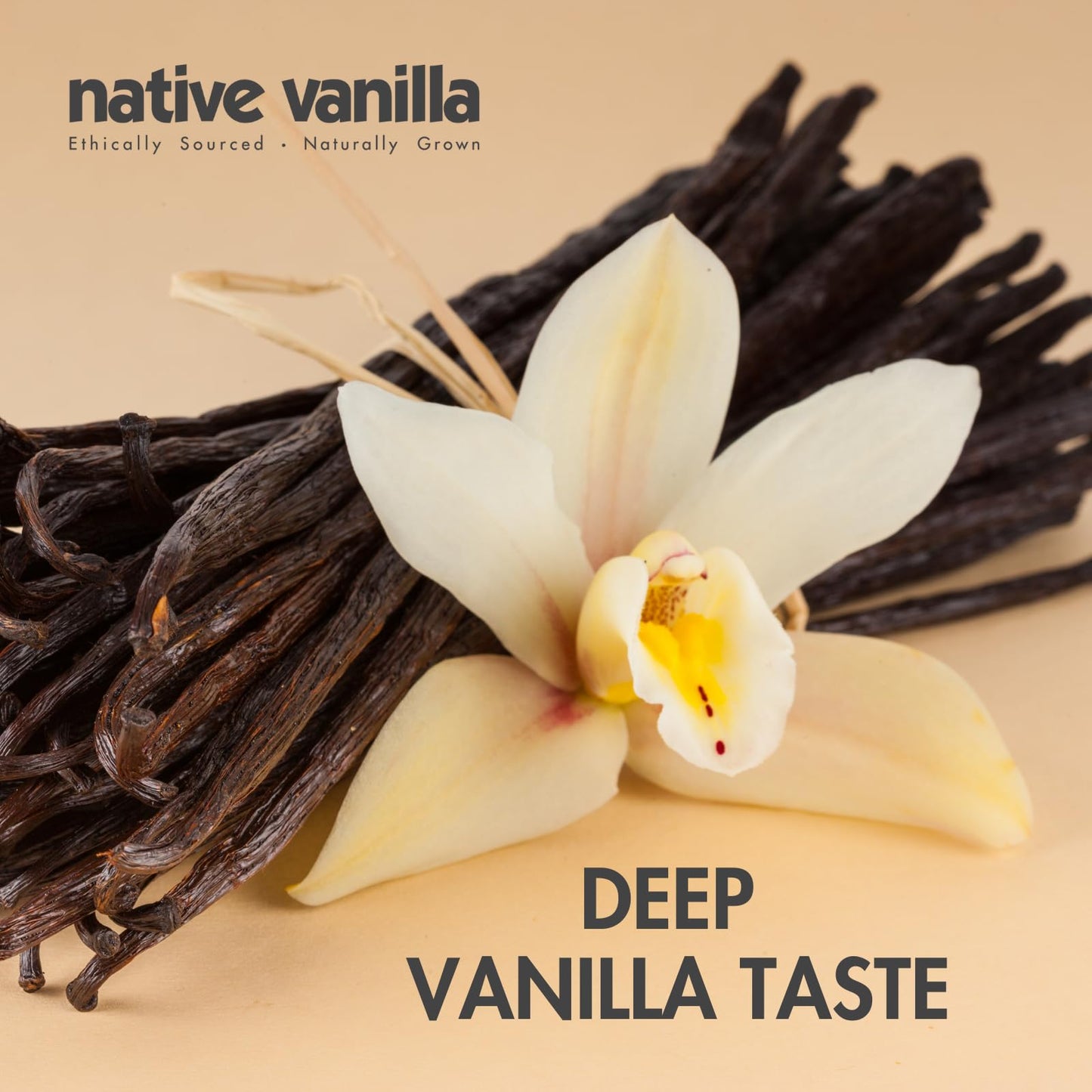 Vanilla Bean Paste - Native Vanilla - All Natural Pure Vanilla Bean Paste - Made with Organic Agave Syrup - For Cooking, Baking & Desserts - 100%