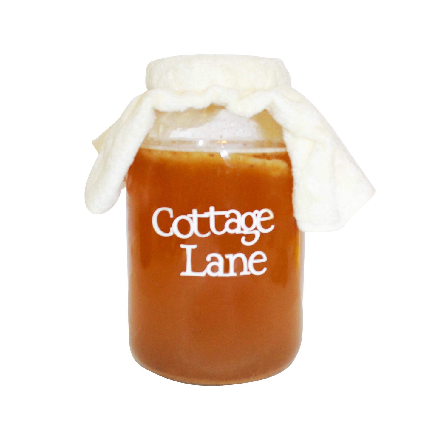 Extra Large Kombucha SCOBY With 12 Ounces - 1.5 Cups of Starter Tea Live Culture Basic Starter Kit Makes 1 Gallon