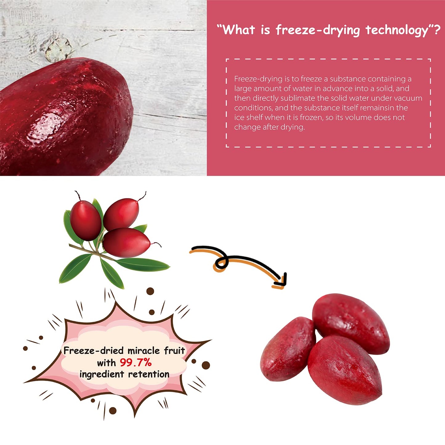Ohh! Berry Miracle Berry [all 6 of them],Miracle Berries are 100% Natural & Freeze-Dried Friut Snacks to Turn Sour To Sweet and Reduce Sugar Use