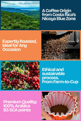 Espresso Coffee Beans - Specialty Grade Costa Rica Coffee - Single Origin Nicoya Blue Zone - Fresh Roasted Whole Bean by Champion Roaster