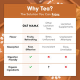 Oat Mama Flavored Microplastics-Free Lactation Tea for Breastfeeding Moms - Chai Spice Flavor - Breastfeeding Essentials for Milk Supply Increase