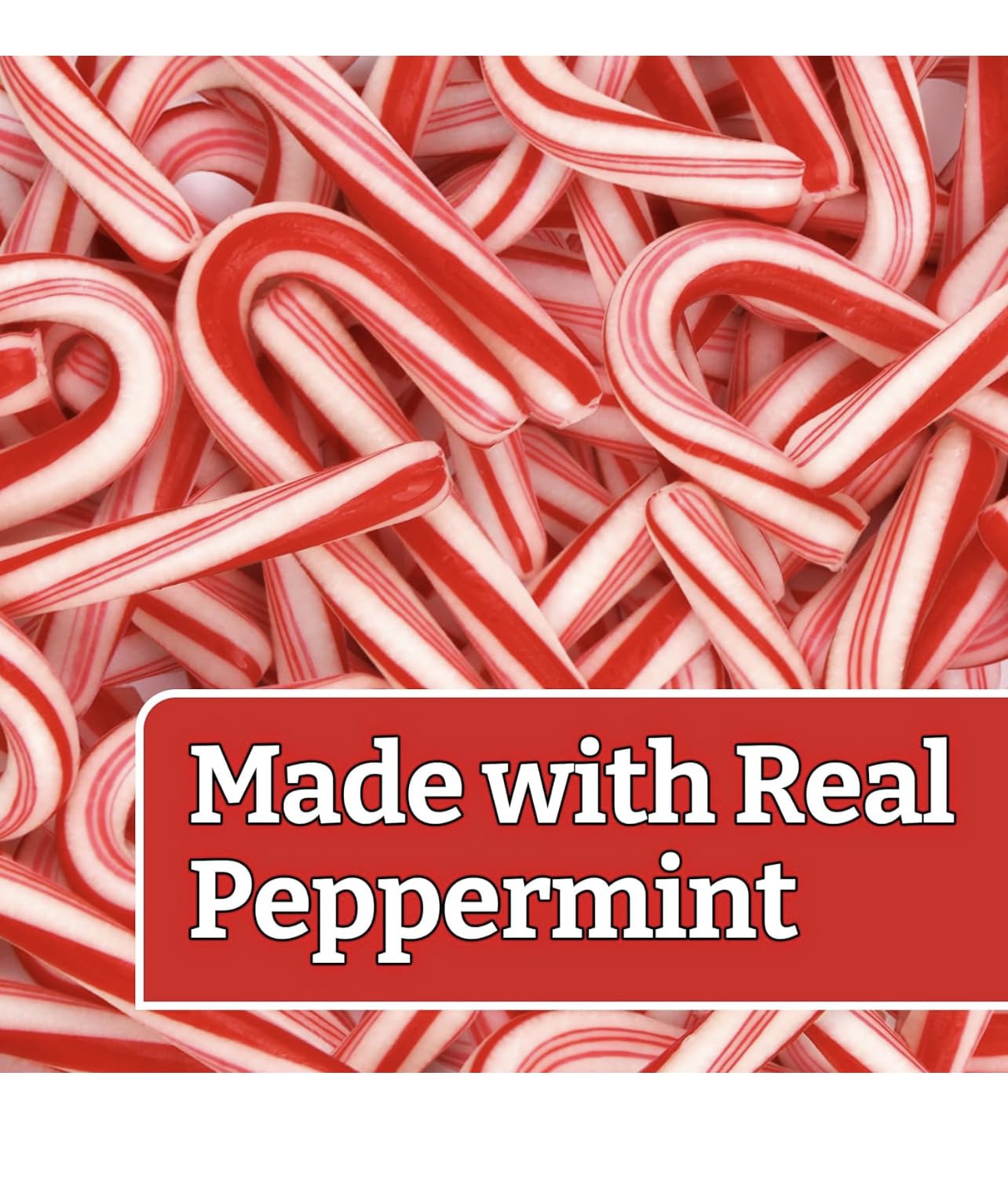 MINI CANDY CANES (1000 MINI CANDY CANES) | Mini Candy Canes Peppermint Flavored | Red & White Stripes - Individually Wrapped Gift Pack | Holiday Candy