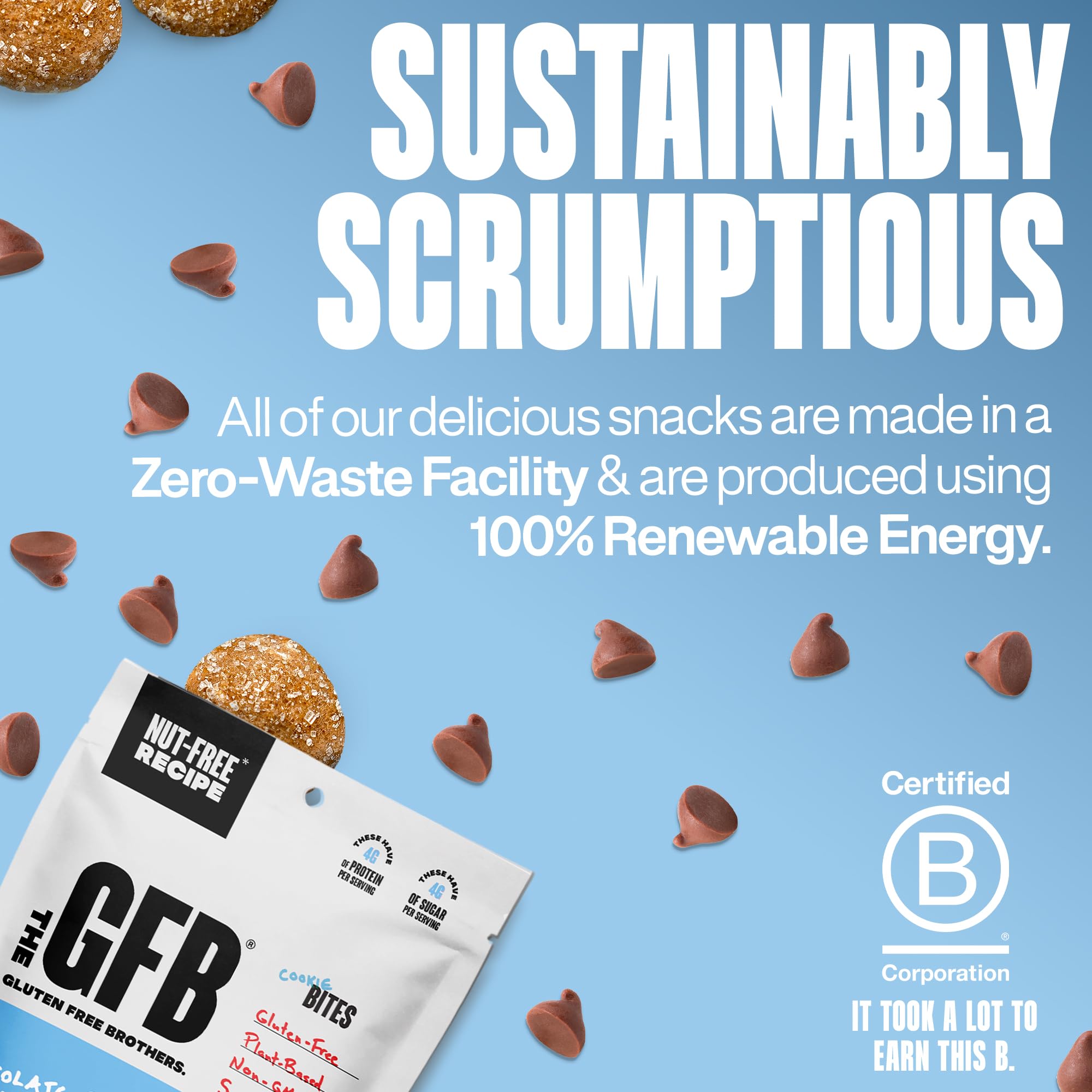 The Gluten Free Brothers Chocolate Chip Cookie Dough Nut Free Bites - Allergen Friendly, Gluten Free, Soy Free Protein Balls - Plant Based Vegan