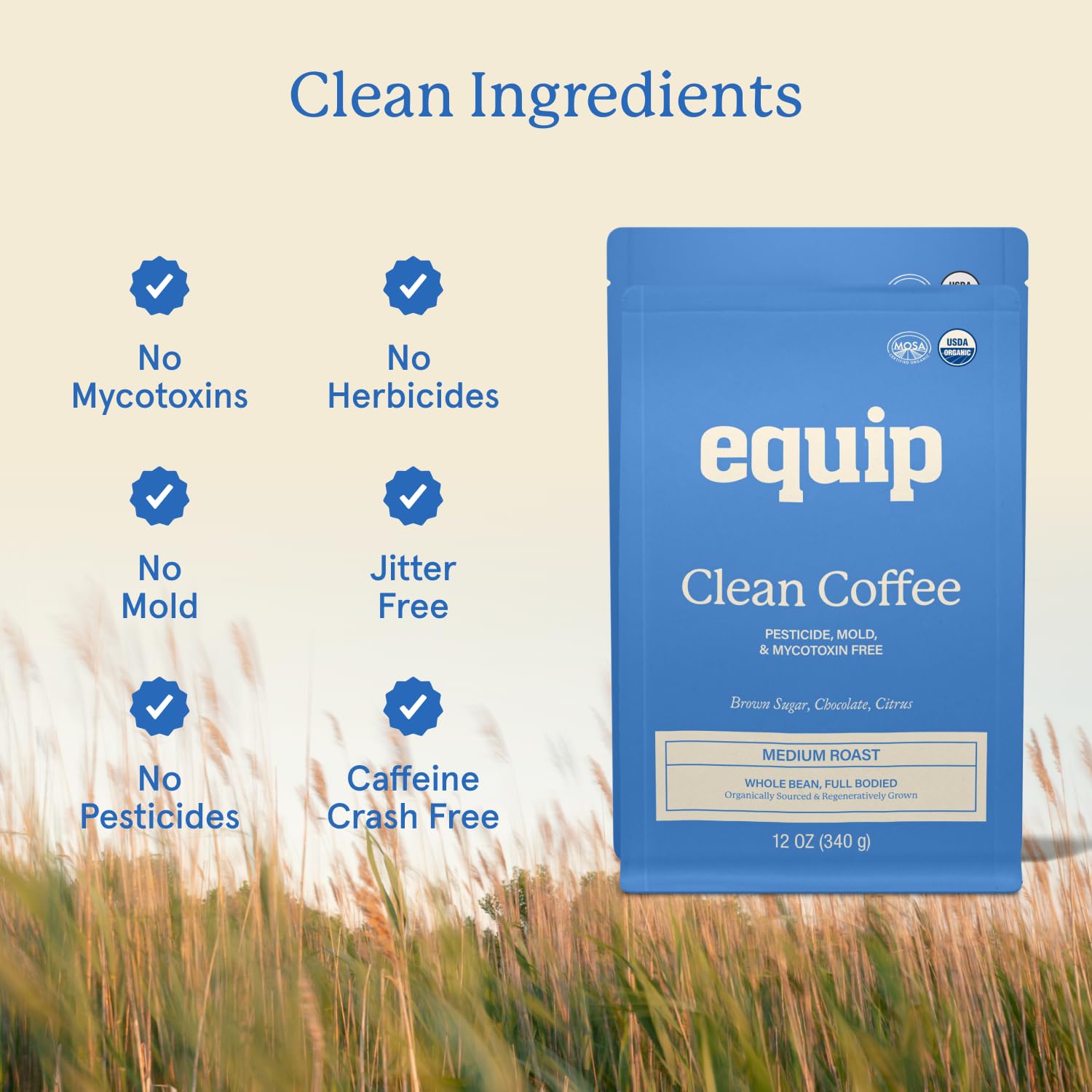 Equip Foods Clean Coffee | Gold Standard, Certified Organic, Fair Trade, Regenerative | Medium Roast, Whole Bean, Nicaragua | Brown