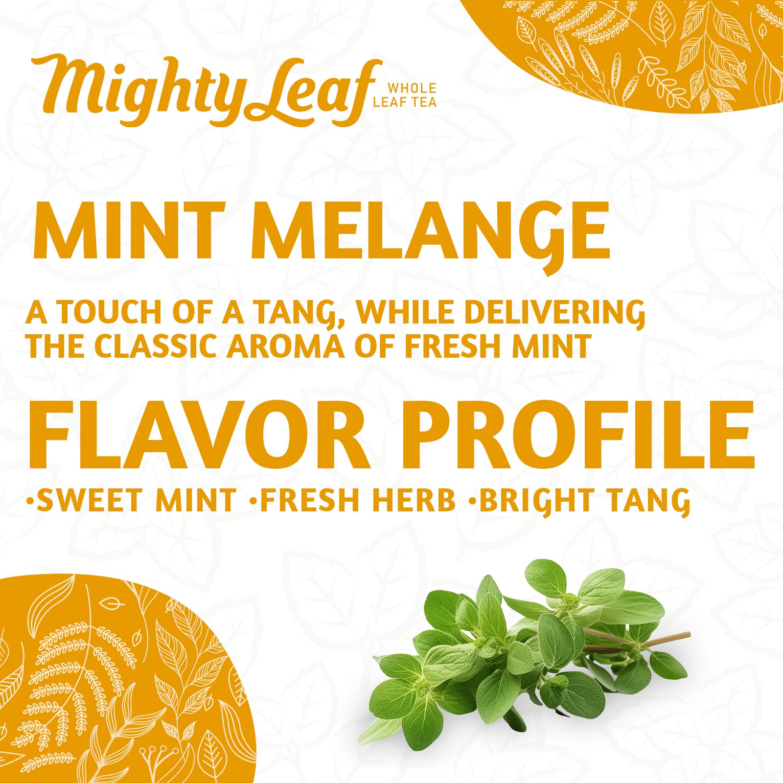Mighty Leaf Organic Tea, Mint Melange, 15-Count Whole Leaf Pouches 1.32 Oz (Pack of 3)