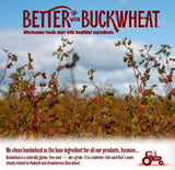 Better with Buckwheat Everything Crackers - Gluten-Free Crackers, Healthy Snack Crackers, Grain-Free, Non-GMO, Sugar-Free - Pair with Cheese, Hummus