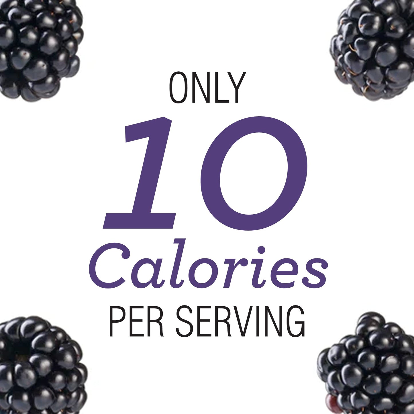 Skinnygirl Sugar Free Kosher Preserves, Blackberry, 10 Ounce