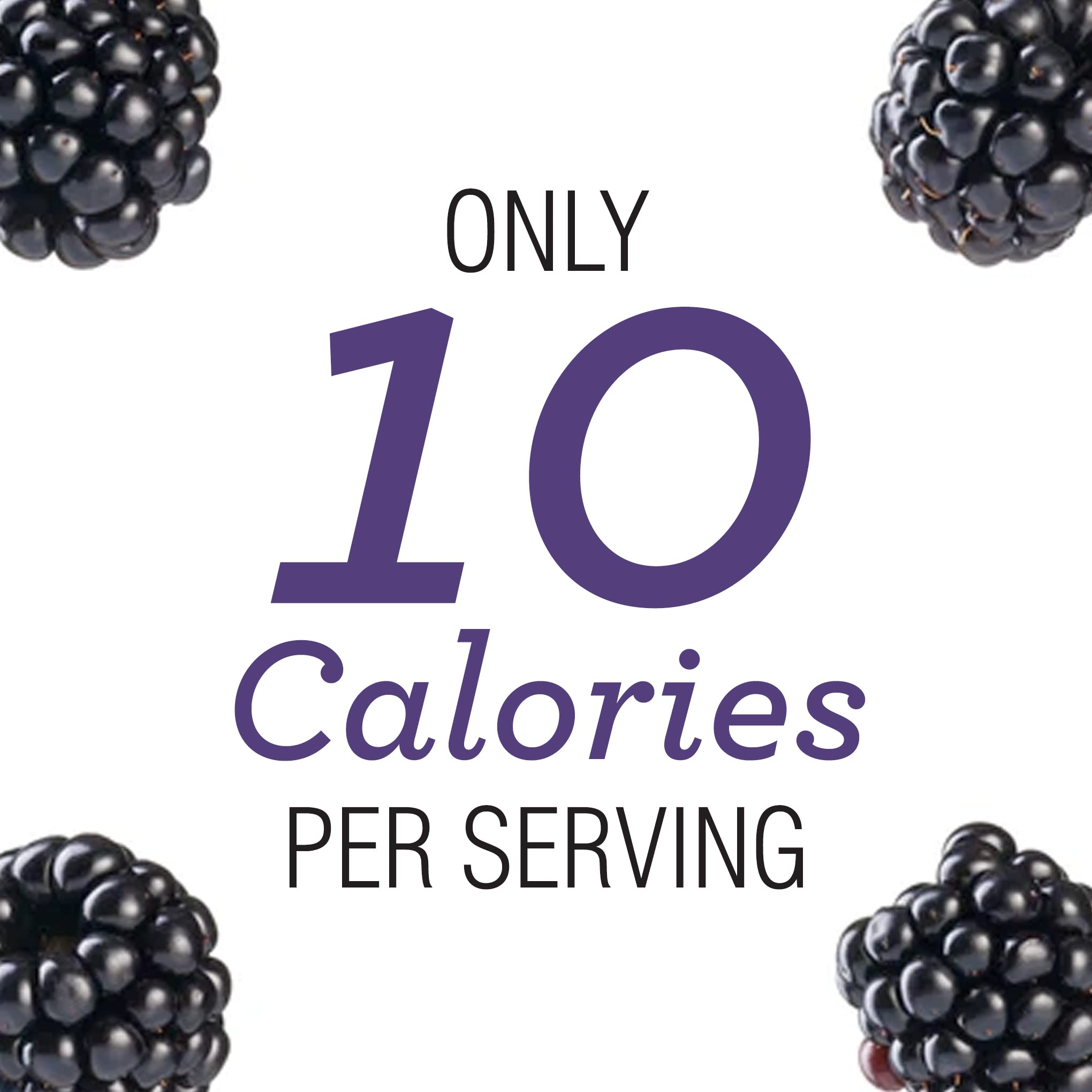 Skinnygirl Sugar Free Kosher Preserves, Blackberry, 10 Ounce