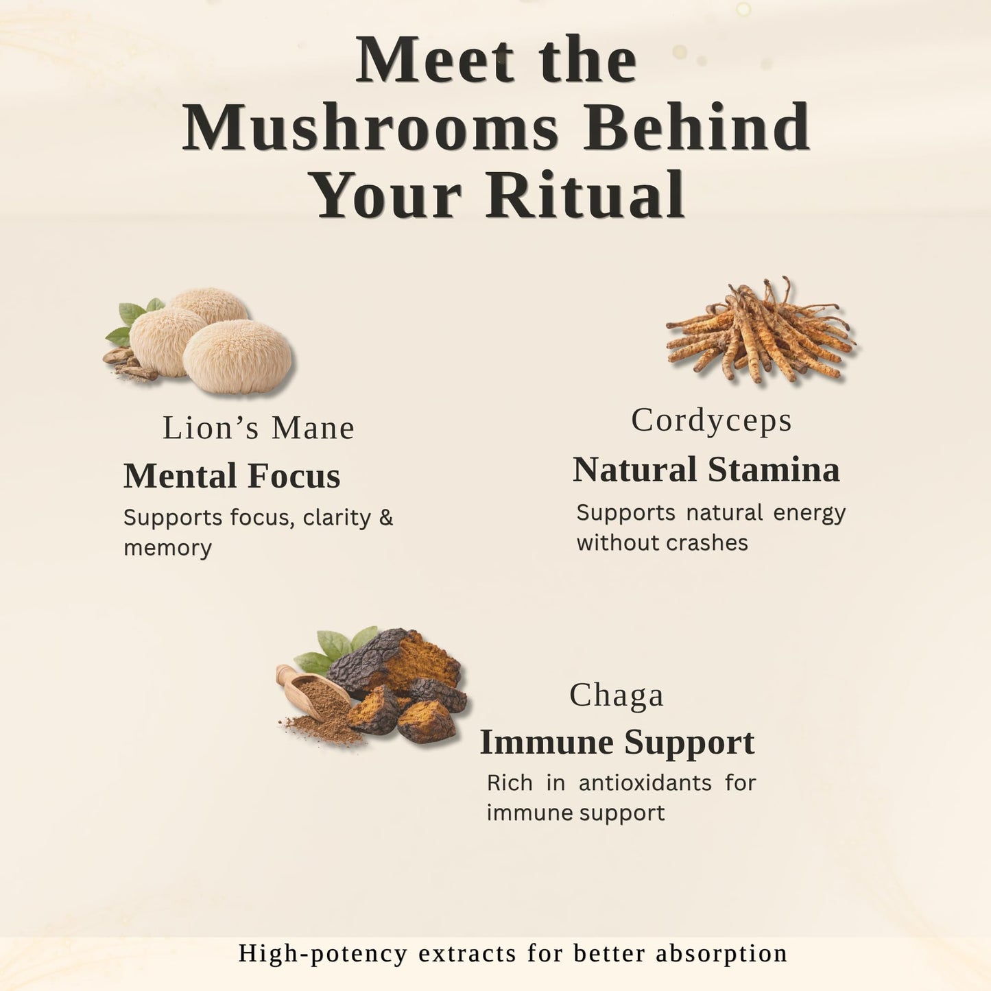 Immortal Mycelium Mushroom Matcha Drink Mix - Ceremonial Grade Matcha with Lion’s Mane, Cordyceps & Chaga - Creamy Adaptogenic Green Tea Latte - 15