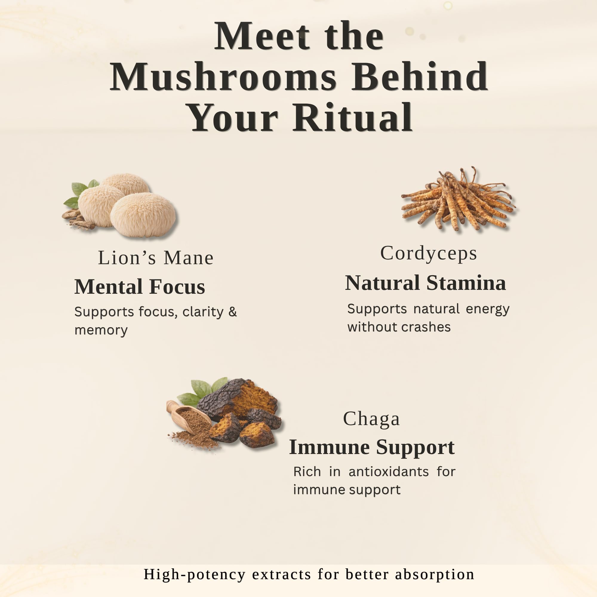 Immortal Mycelium Mushroom Matcha Drink Mix - Ceremonial Grade Matcha with Lion’s Mane, Cordyceps & Chaga - Creamy Adaptogenic Green Tea Latte - 15