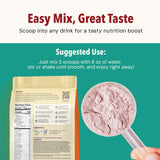 AMAXI Plantium Total Nutrition, Premium All-in-One Meal Replacement Shake, Plant-Based Protein Powder with Vitamins, Minerals & Probiotics, 22g