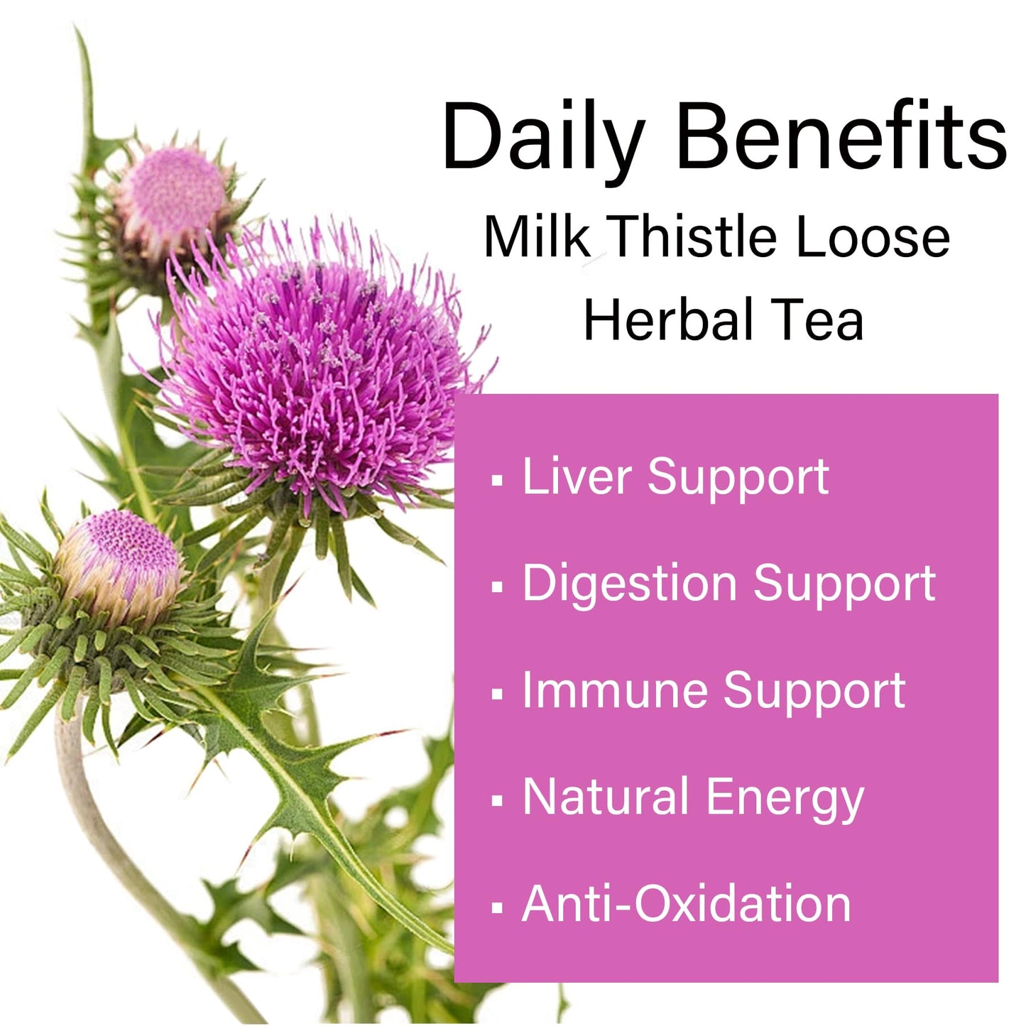 Cardo Mariano Milk Thistle Herbal Tea - 7oz (200g) - Organic Milk Thistle Loose Leaf Tea - 100% Natural, Non-GMO & Caffeine-Free, No Additives, No