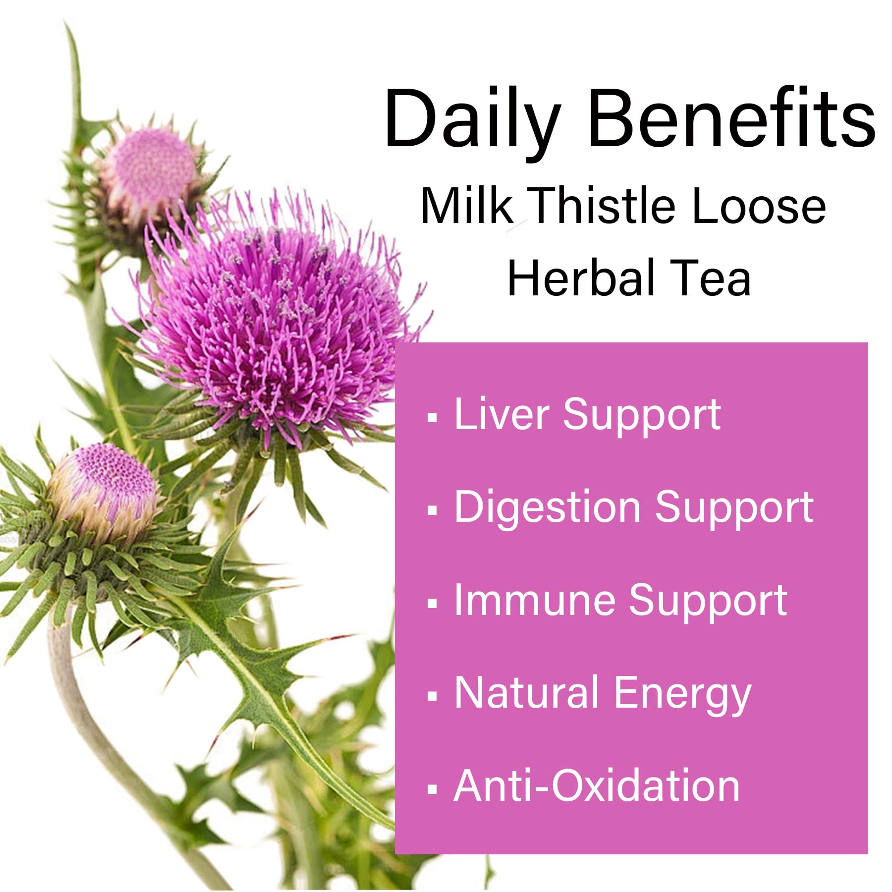 Cardo Mariano Milk Thistle Herbal Tea - 7oz (200g) - Organic Milk Thistle Loose Leaf Tea - 100% Natural, Non-GMO & Caffeine-Free, No Additives, No