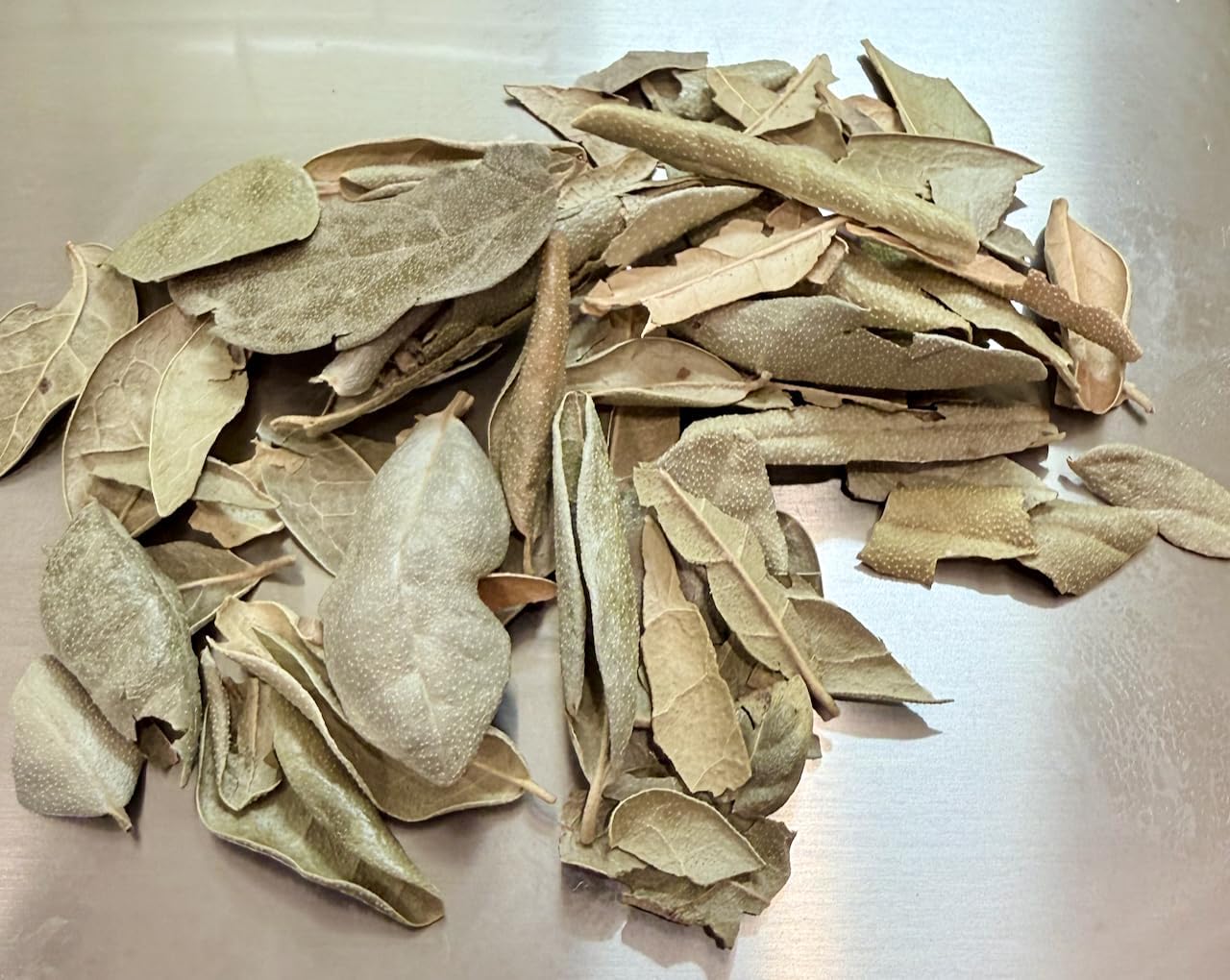 Boldo Leaves Herbal Tea - Hojas de Boldo (Peumus boldus) - Net Wt. 113 g (4 oz) - 100% Natural, Caffeine Free, Traditional Loose Leaf Boldus Herbal