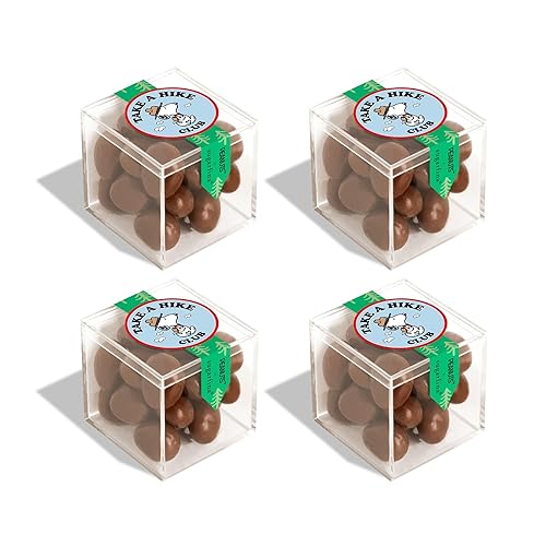 Peanuts x Sugarfina Chocolate Biscuits Small Candy Cube, Chocolate Bites, 1.6 oz, 4 Count