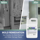 Vital Oxide Disinfectant, Deodorizer, Cleaner, Food-Contact Sanitizer, Virucide - (EPA registration #82972-1) - Kills Mold & Mildew, Eliminates Odors