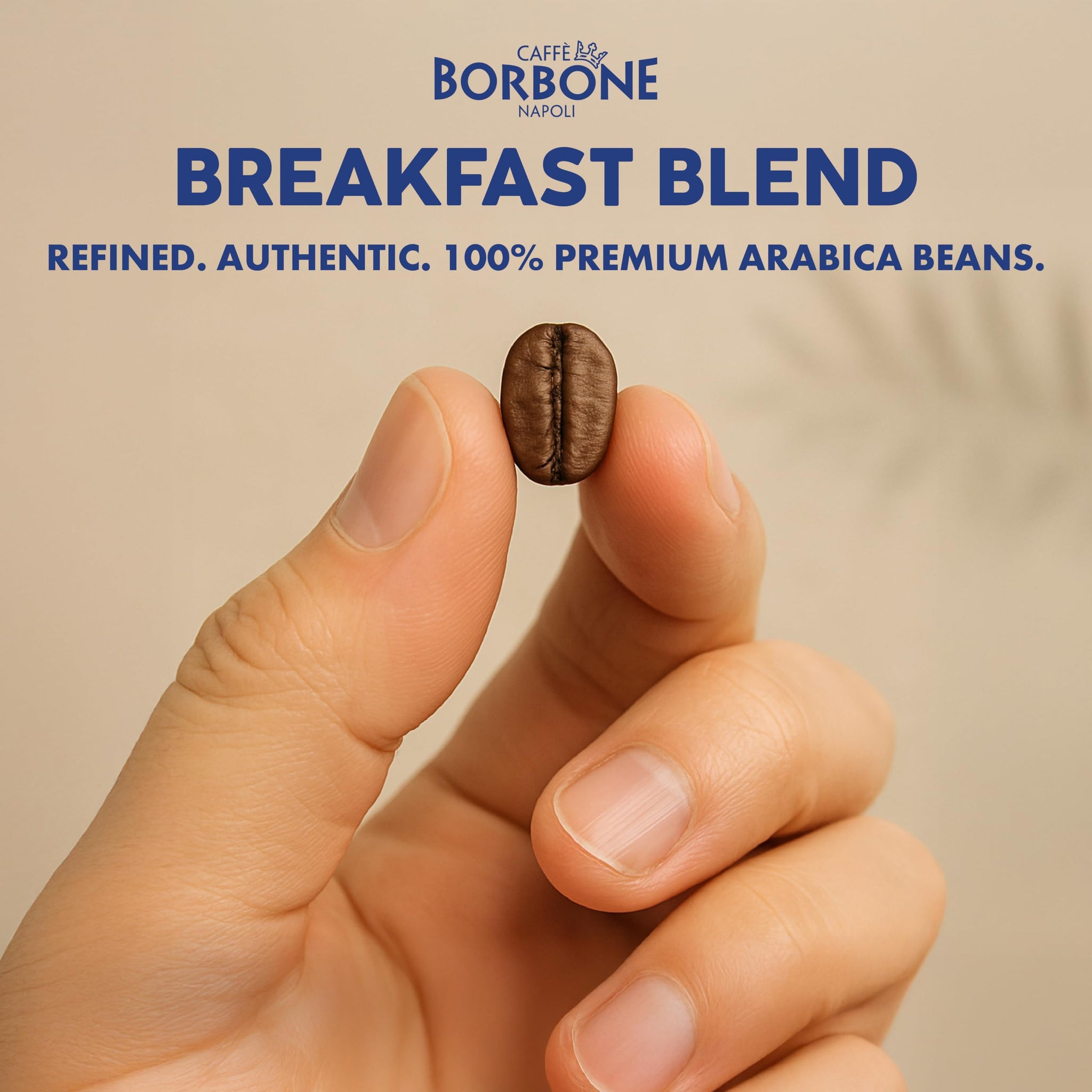 Caffè Borbone Breakfast Blend Coffee (60 Count) - Medium Light Roast, 100% Arabica, Roasted in Naples with Notes of Chestnut and Caramel - Single