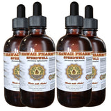 Speedwell (Veronica Officinalis) Liquid Extract 4x4 fl.oz