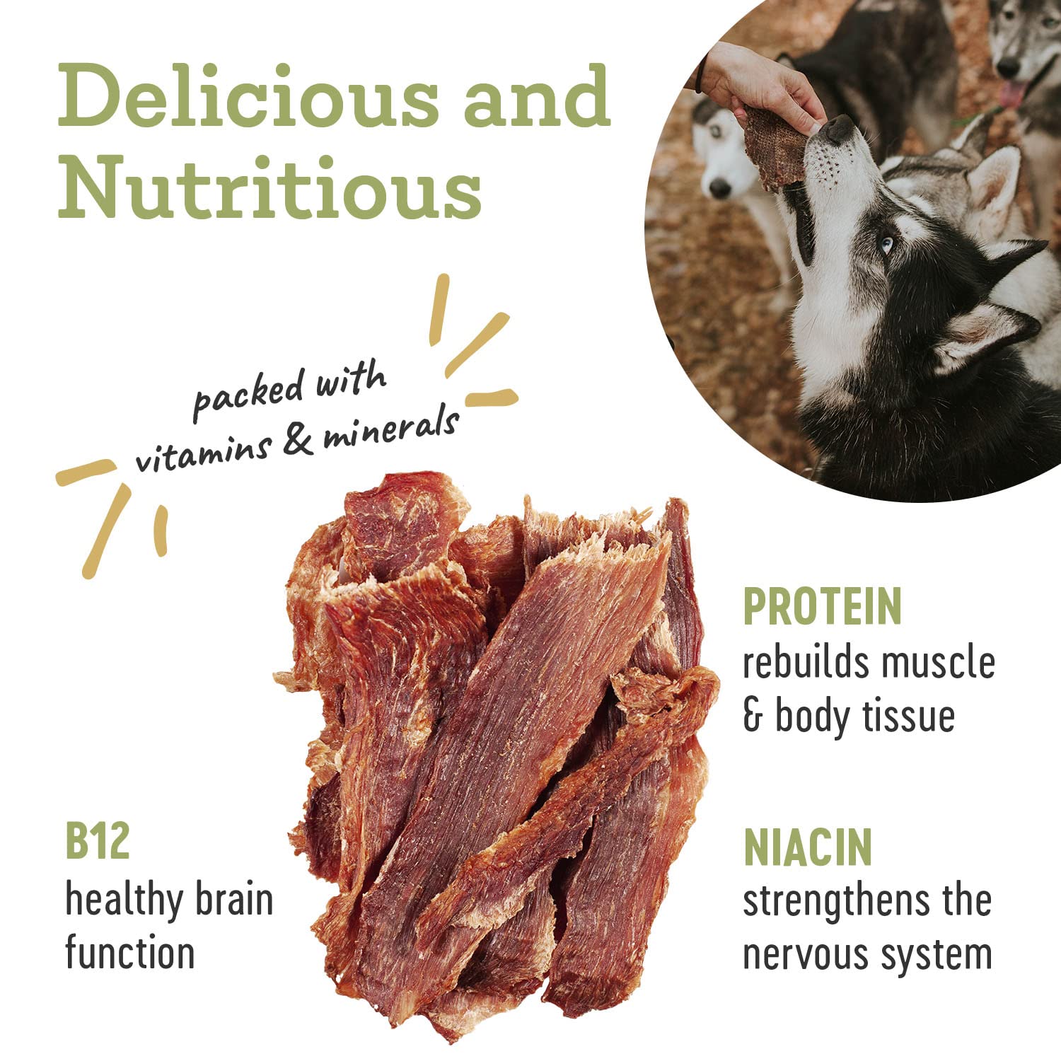 Farm Hounds - Pork Jerky - Premium Natural Jerky for Dogs - 100% Humanely Raised Pork - Break-to-Size - Great for Training & Treats - No Added Fillers