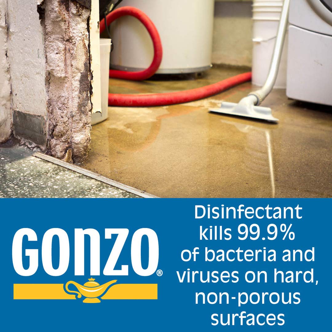 Gonzo Disinfectant Spray & All Purpose Cleaner - 24 Ounce (2 Pack) Lavender - Odor Eliminator, Disinfectant, Flood Fire Water Damage Restoration