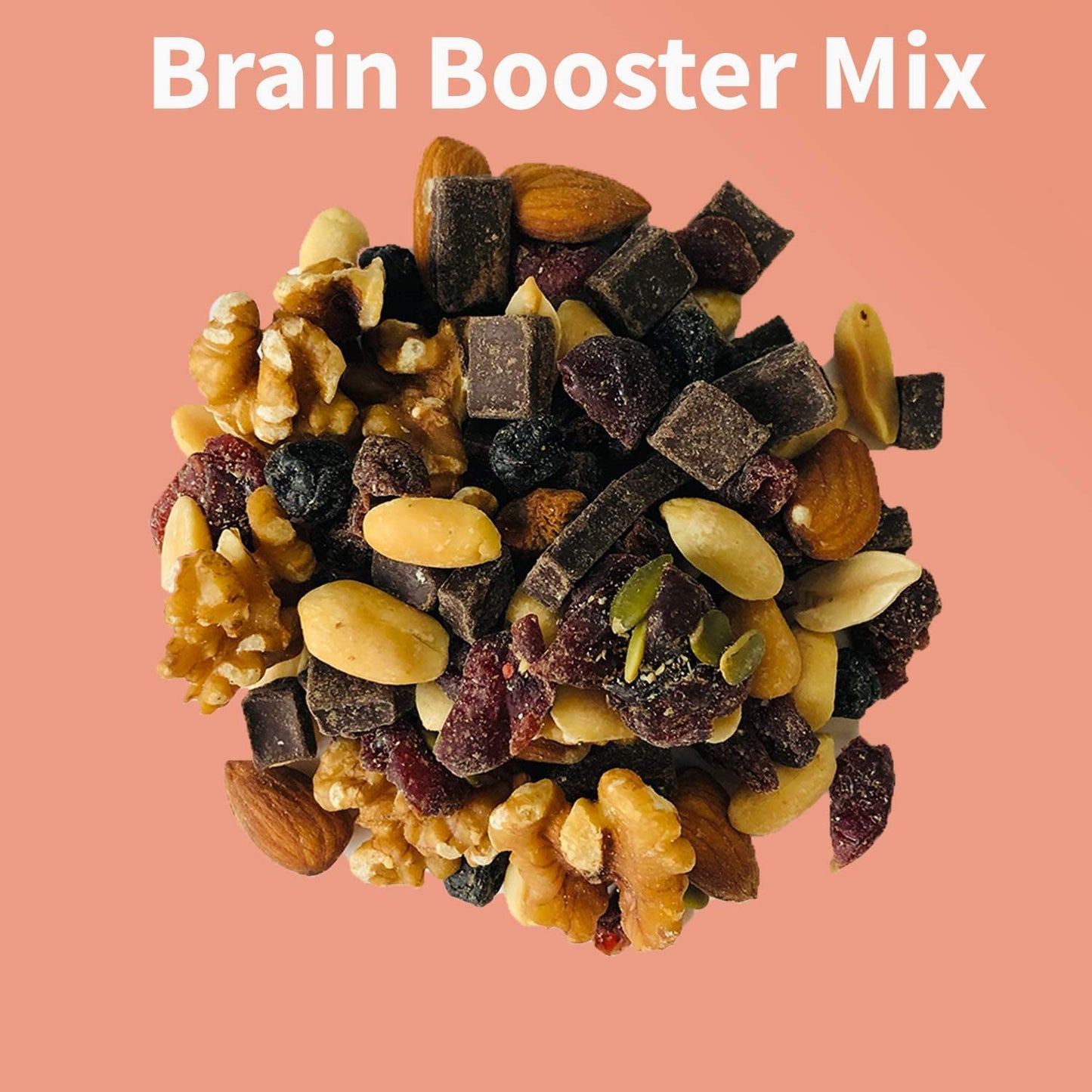 Brain Booster Nut Seed and Fruit Mix - walnuts, almonds, peanuts and a touch of sweetness from dried cranberries, blueberries, and chocolate. (1.75