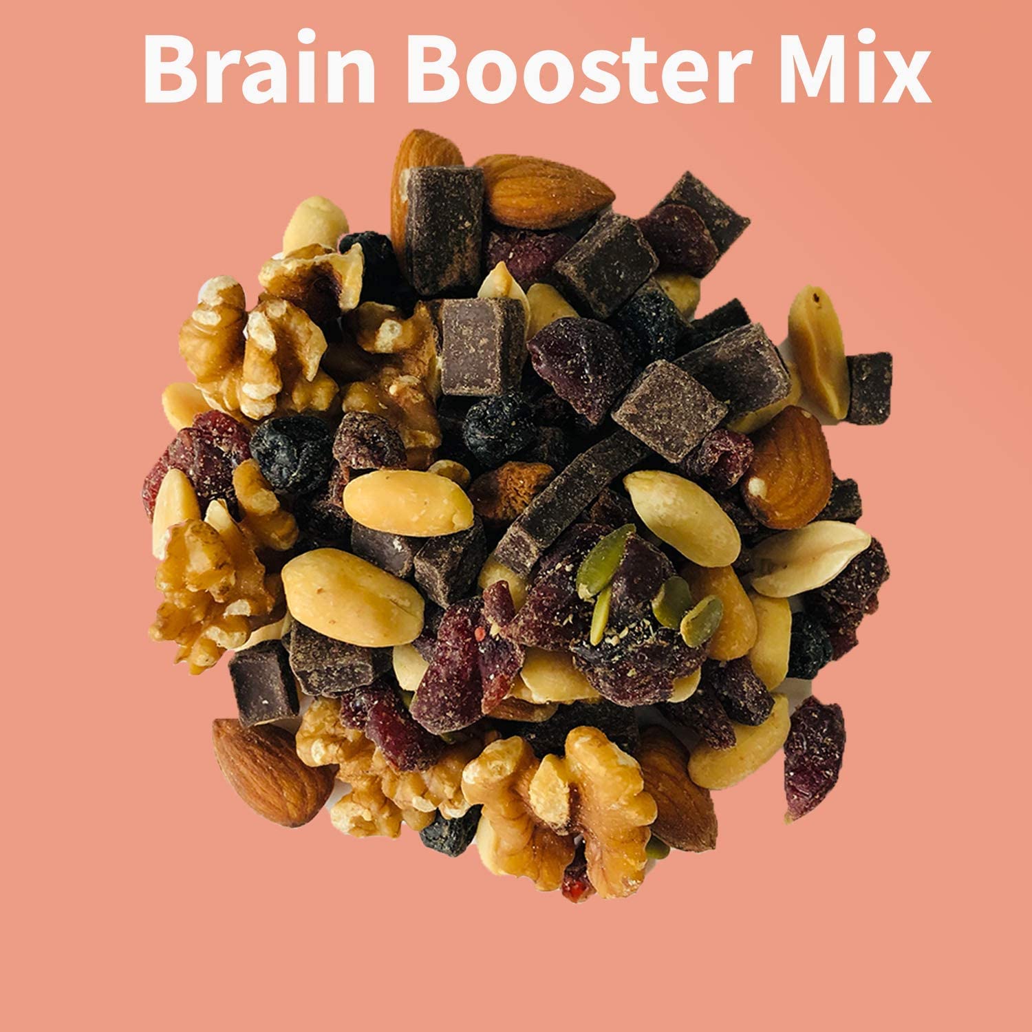 Brain Booster Nut Seed and Fruit Mix - walnuts, almonds, peanuts and a touch of sweetness from dried cranberries, blueberries, and chocolate. (1.75