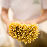 Rustichella d'Abruzzo Fusilli - 500g Classic Spiral Pasta - Made from Durum Wheat - Cooks in 9-11 Minutes - Perfect for Sauces, Salads, or Baked