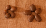 Twin Engine Coffee, ELEFANTE RESERVE Limited Edition, Whole Bean, Nicaragua's Coffee, 300g 10.6oz.