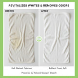 GLAT Group Enzyme-Powered Natural Oxygen Bleach (Powder) - Eucalyptus | Chlorine-Free Stain Remover & Laundry Whitener | Safe for Colors, Septic, Baby