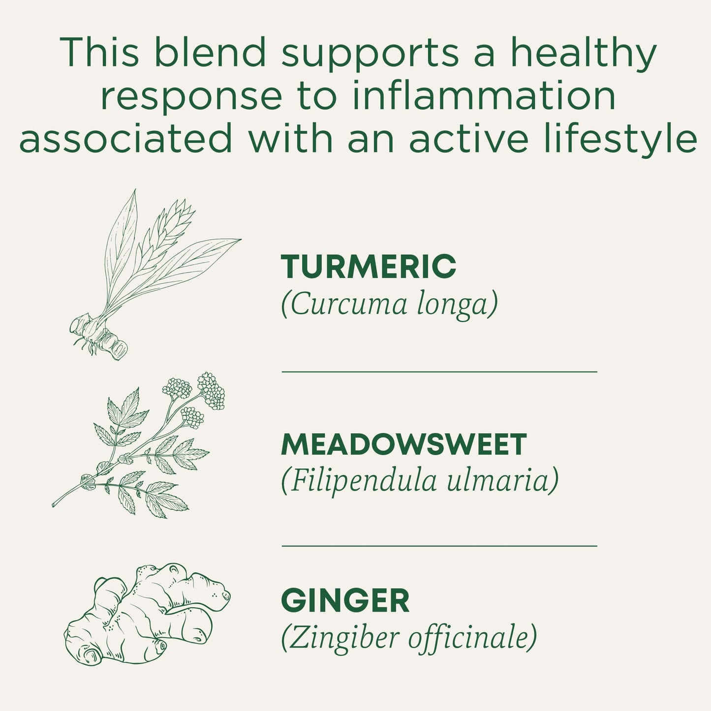 Traditional Medicinals Organic, Turmeric Tea with Ginger & Meadowsweet - Supports Normal Response to Inflammation - Kosher, Non-GMO, Caffeine-Free