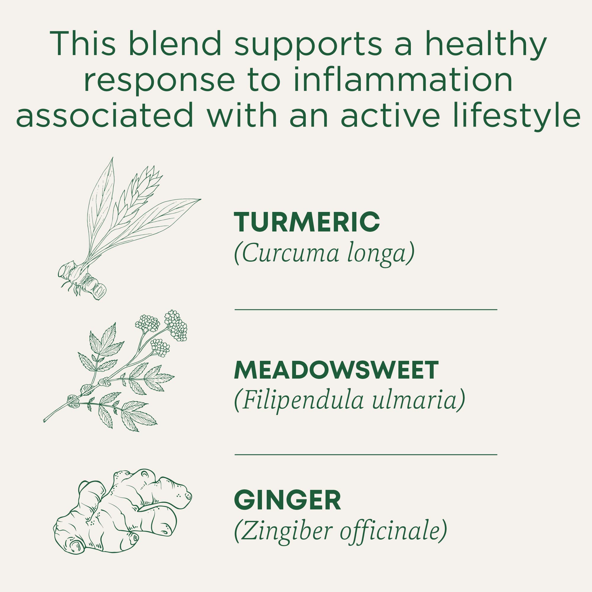 Traditional Medicinals Tea Turmeric Meadowsweet & ginger,16 count.