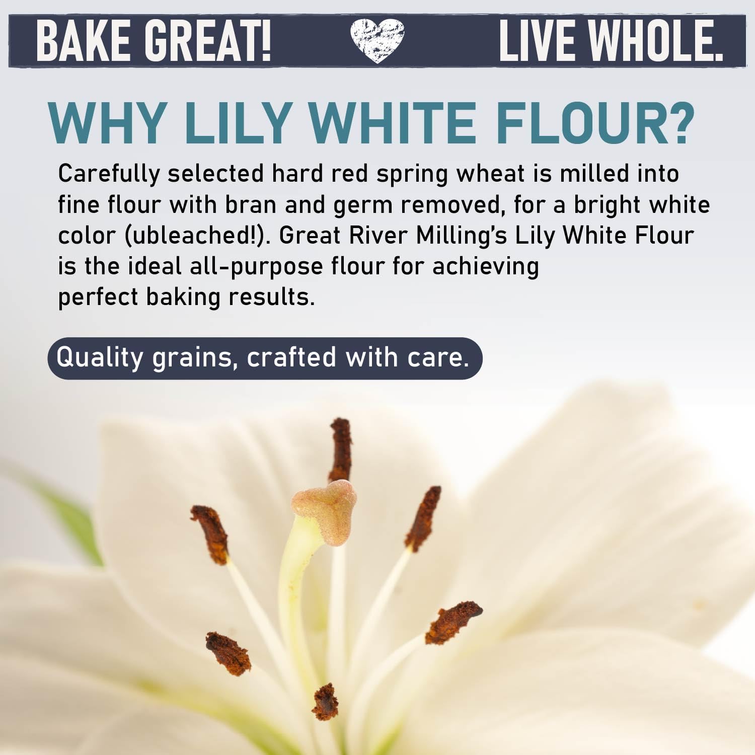Great River Milling Lily White Organic All-Purpose Flour | Unbleached & Unbromated | Non-GMO, Kosher | Ideal for Bread, Cookies, Cakes, Pizza Dough