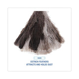 7" Handle Professional Ostrich Feather Duster