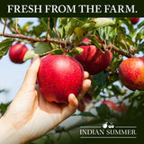 Indian Summer Single Serve Peach Apple Sauce, Individually Packed Applesauces, 6 Single Cups, 4 Ounces Each (Peach)