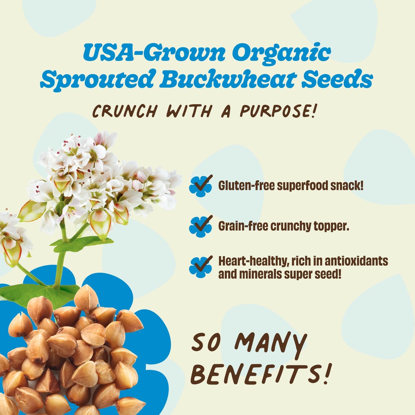 Lil Bucks Sprouted Regeneratively Grown Buckwheat Seeds- Paleo Cereal, Gluten-Free Granola, High in Protein, Low Sugar, Organic Superseed Crunch