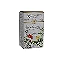 Celebration HERBALS Echinacea ANG Herb Tea Organic 24 Bag, 0.02 Pound
