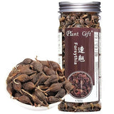 Plant Gift Forsythia Tea ?? 100% Therapeutic Grade Forsythia Dried Fruit Herb Medicine (Forsythia Suspensa) 60G/2.11oz