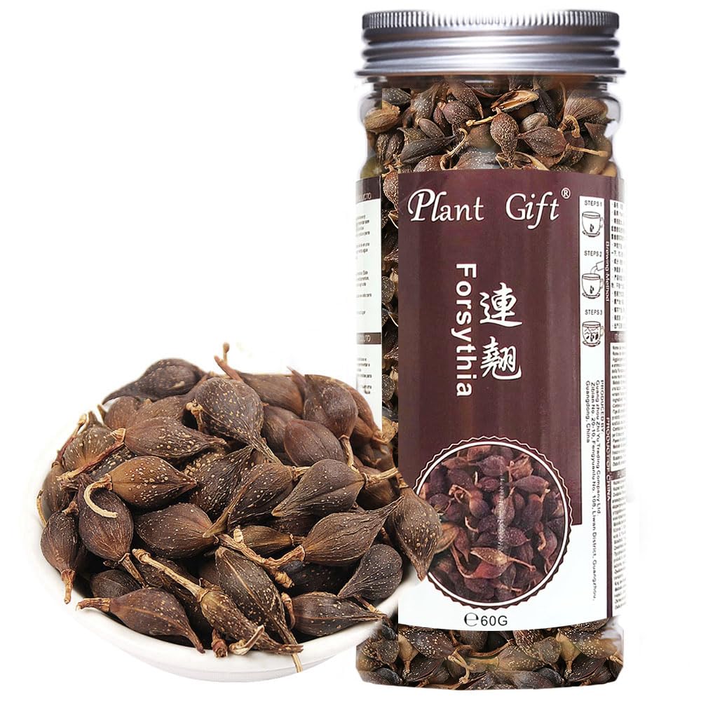 Plant Gift Forsythia Tea ?? 100% Therapeutic Grade Forsythia Dried Fruit Herb Medicine (Forsythia Suspensa) 60G/2.11oz