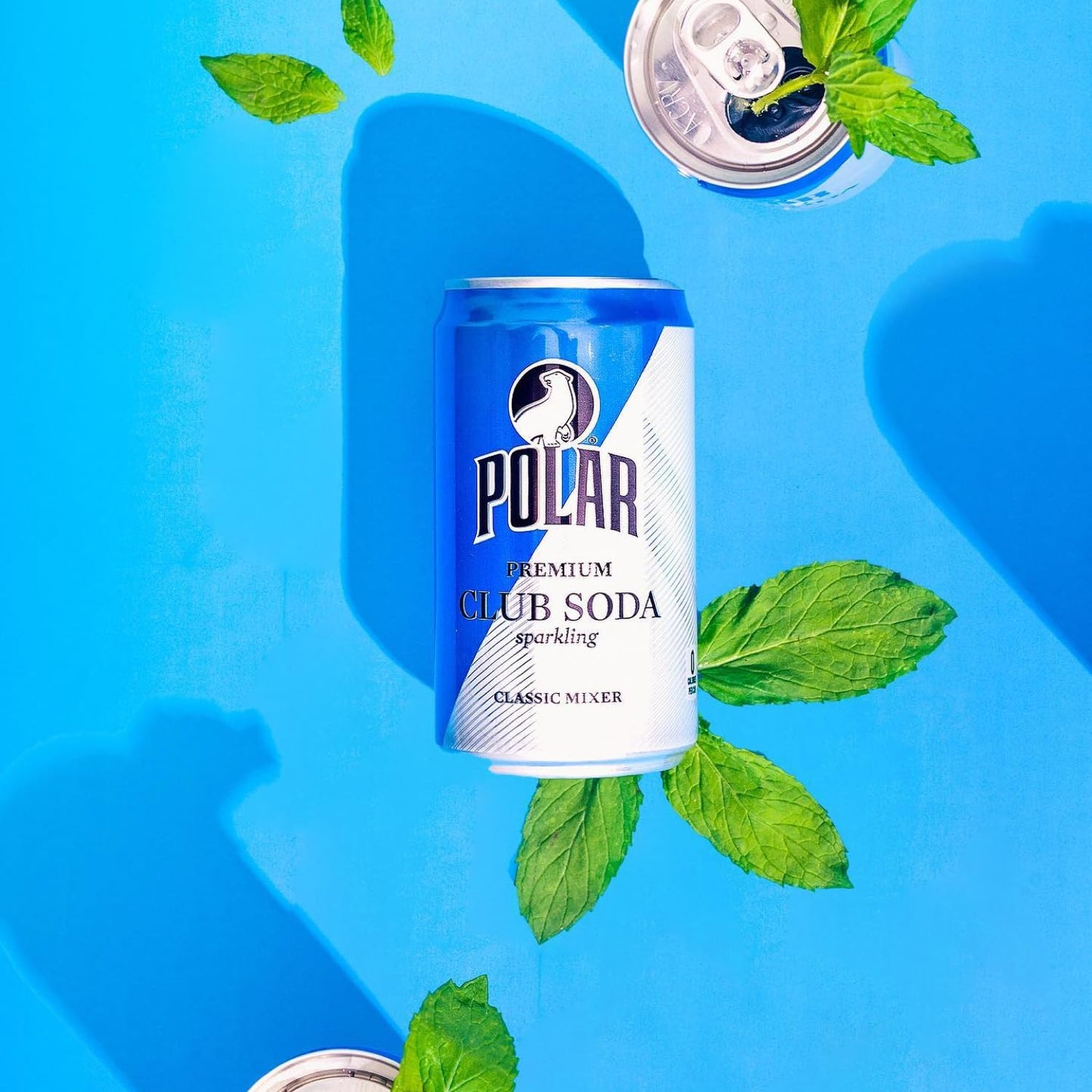 LastFuel. POLAR Club Soda - 24pk 7.5oz Cans | Crisp Refreshment, Perfect Mixer | Ideal for Cocktails and Mocktails