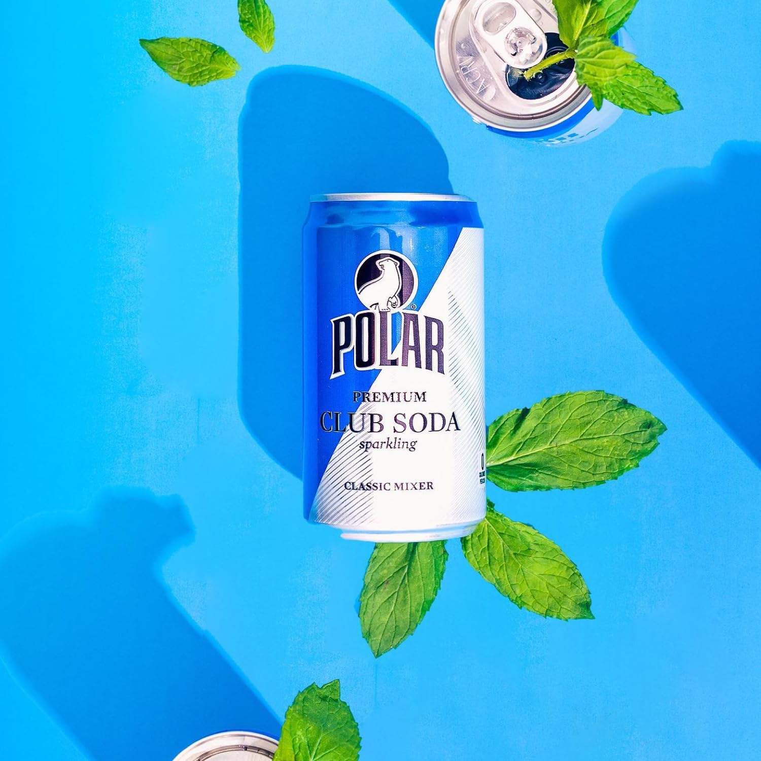 LastFuel. POLAR Club Soda - 24pk 7.5oz Cans | Crisp Refreshment, Perfect Mixer | Ideal for Cocktails and Mocktails