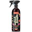 Naked Jungle Premium Plant-Based Glass Cleaner and Mirror Cleaner Spray for Streak-free Shine, Multi Purpose Car Window Cleaner, Eye Glasses Cleaner