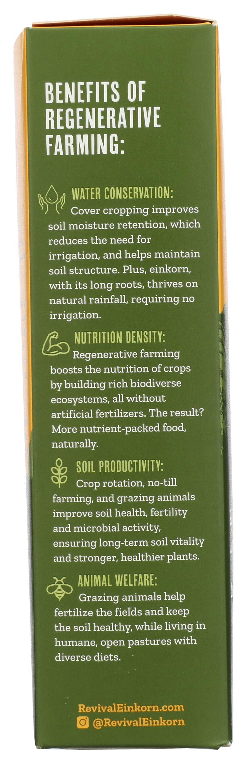 Revival Einkorn, Pasta Penne Organic, 8.8 Ounce