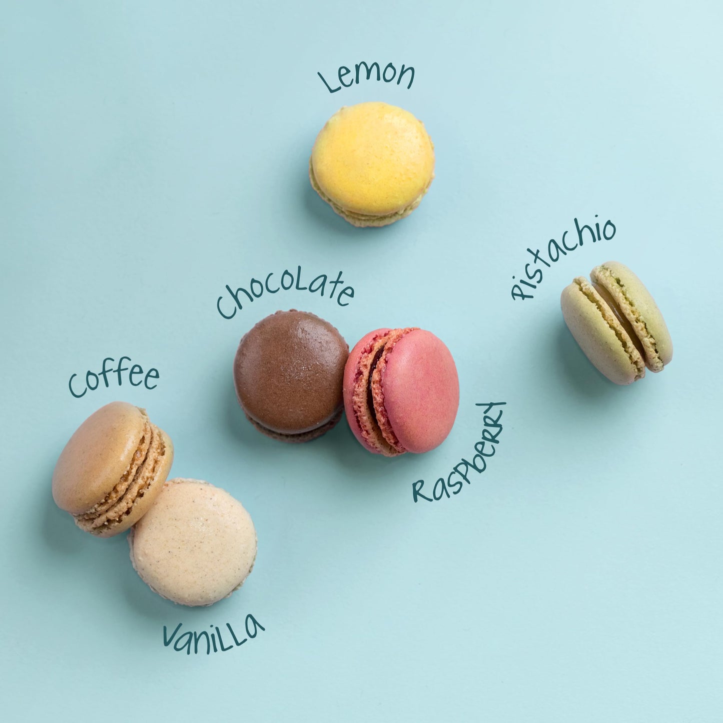 MARKY’S French Almond Macarons Gift Box - 12 Assorted Gourmet Macarons - Variety of Imported Flavors - Authentic French Cookies - Gift Basket