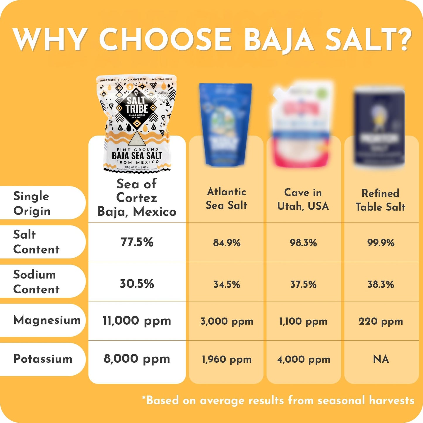 Salt Tribe™ | Baja Sea Salt | Mineral Rich | 90+ Trace Minerals | Fine Ground | Hydration Support | Sal Organica | Low Sodium | Organic & Unrefined |