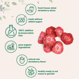 Micro Ingredients Organic Strawberries Sliced, 6.4oz | 100% Natural Fruit | Freeze Dried Strawberry Source | No Sugar & Additives | Healthy Snack